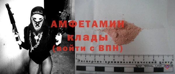 молекула духа Инсар