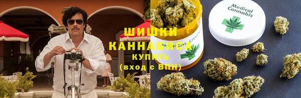 молекула духа Инсар